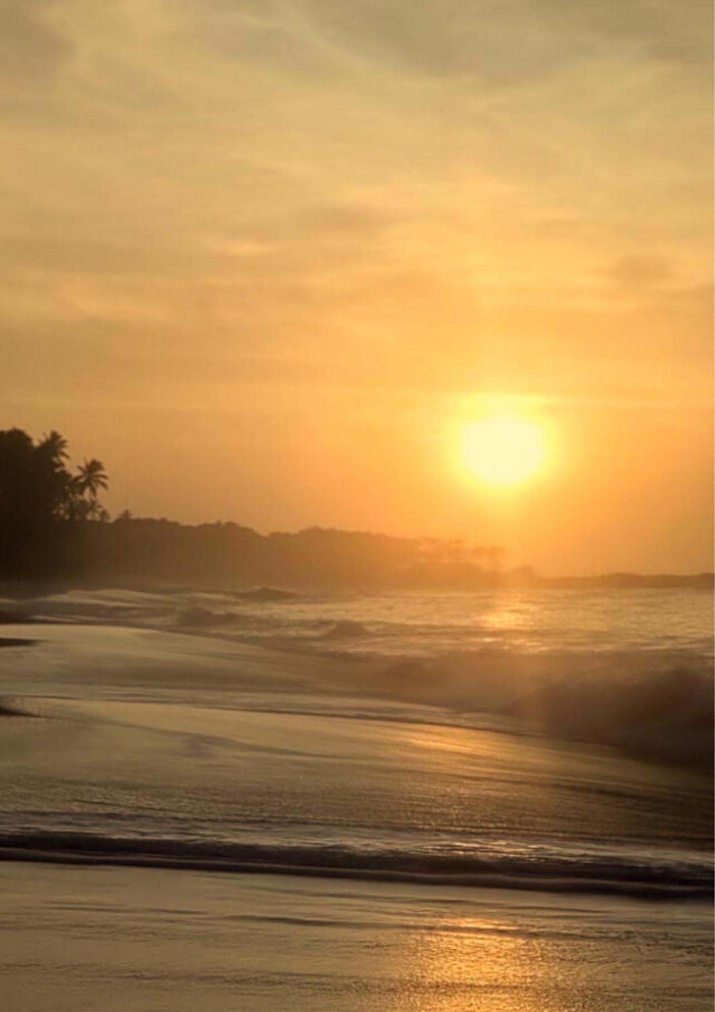 Amour At Turtle Beach Tangalle Exterior photo