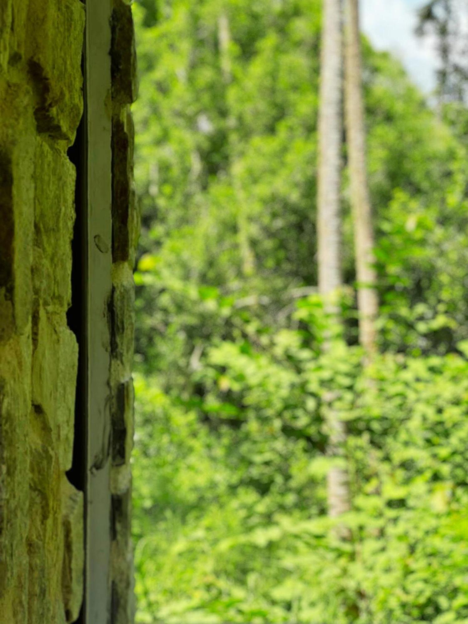 Amour At Turtle Beach Tangalle Exterior photo