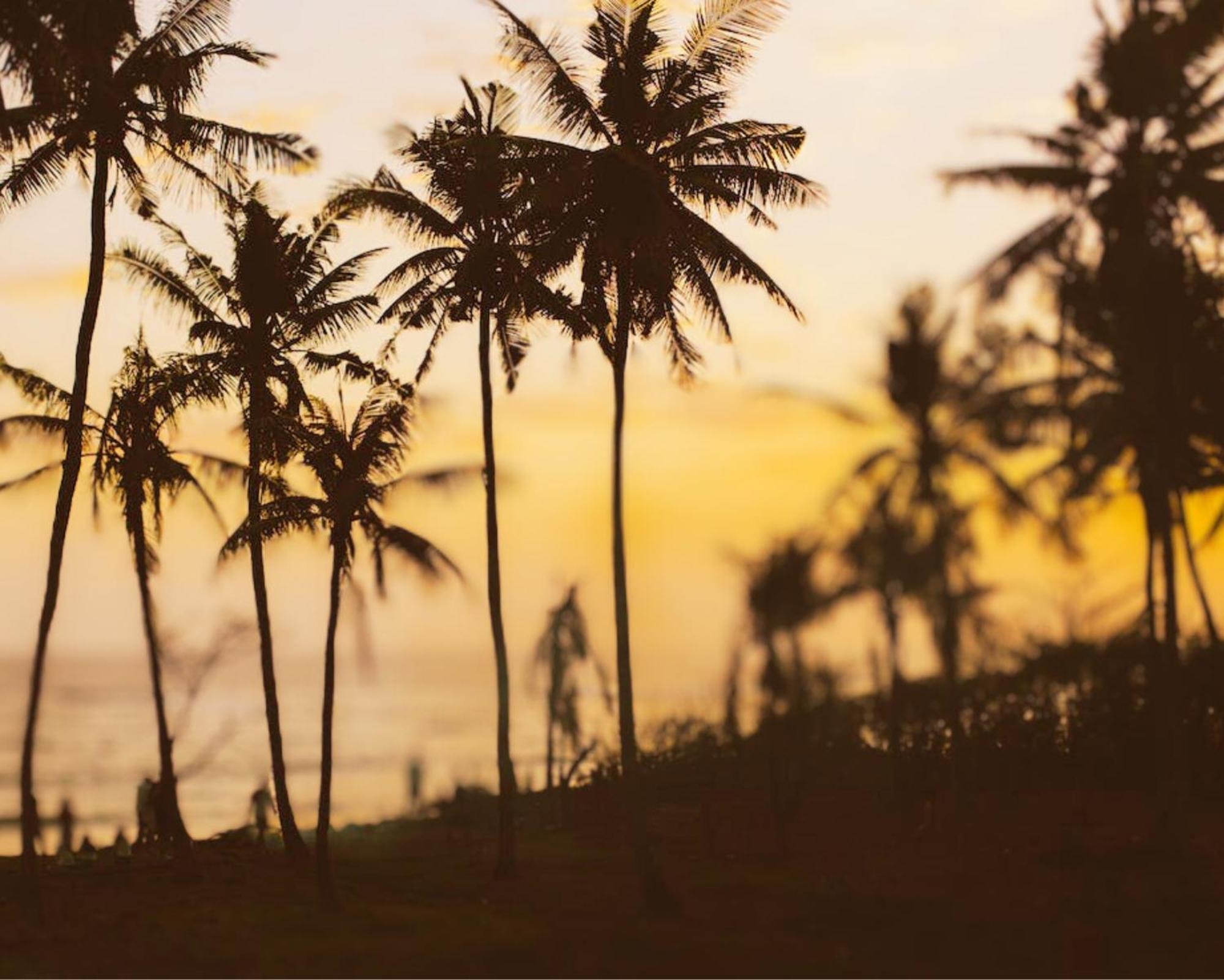 Amour At Turtle Beach Tangalle Exterior photo